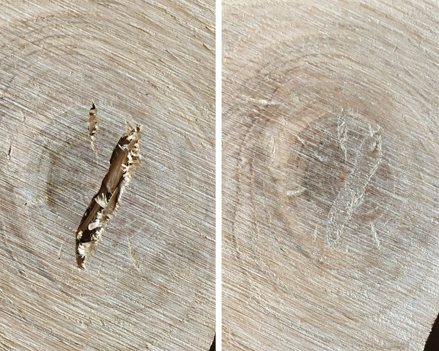 Before and after: a wood crack filled with Knot Filler, sanded flush and nearly invisible