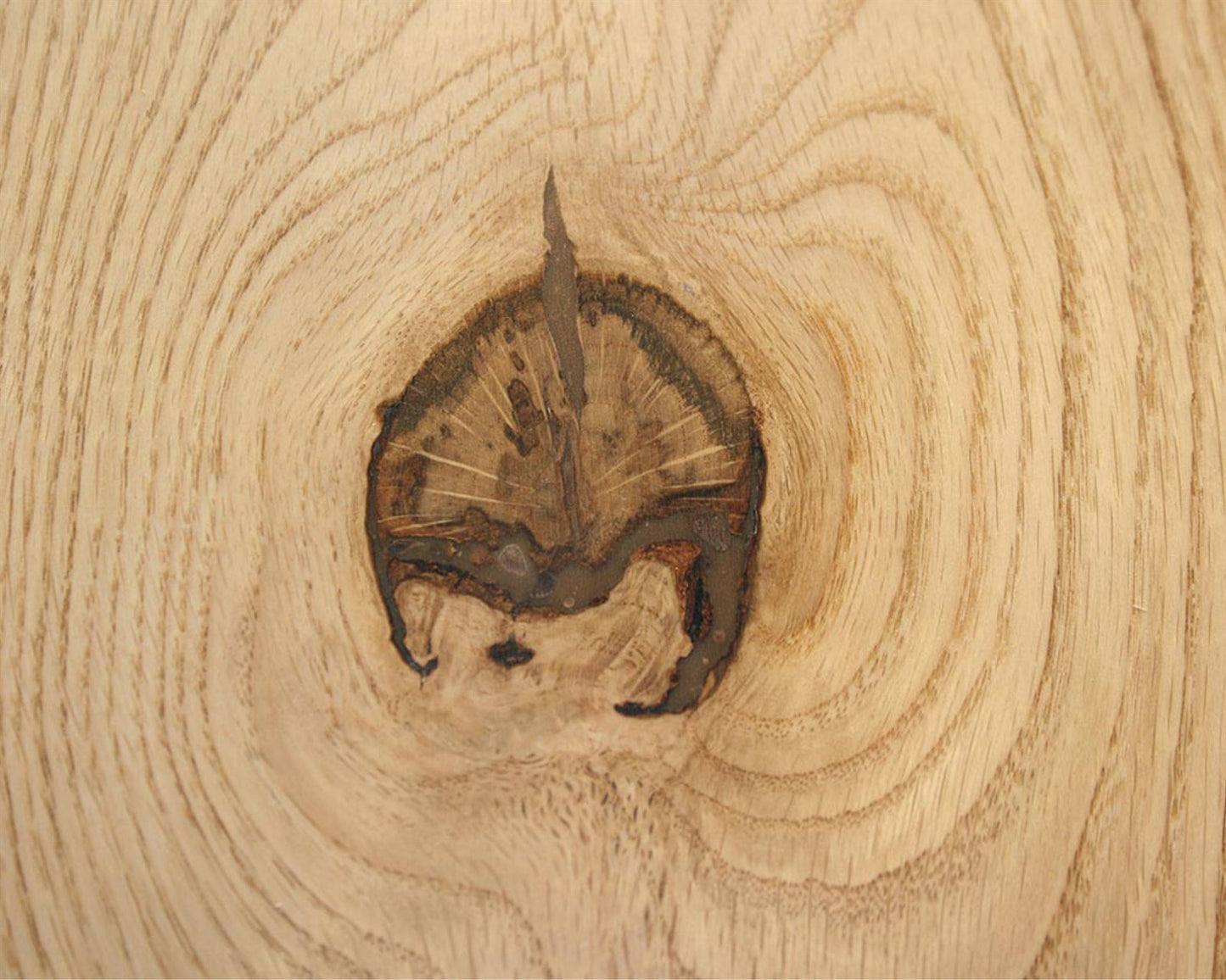 Knot Filler color-matched into a walnut surface repair