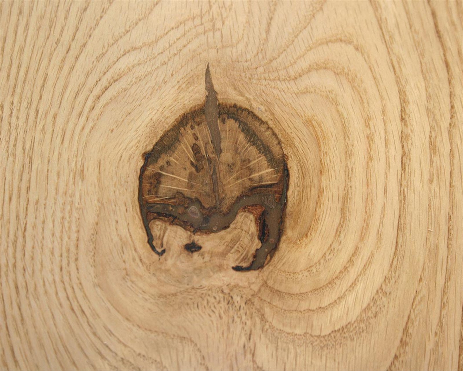 Knot Filler color-matched into a walnut surface repair