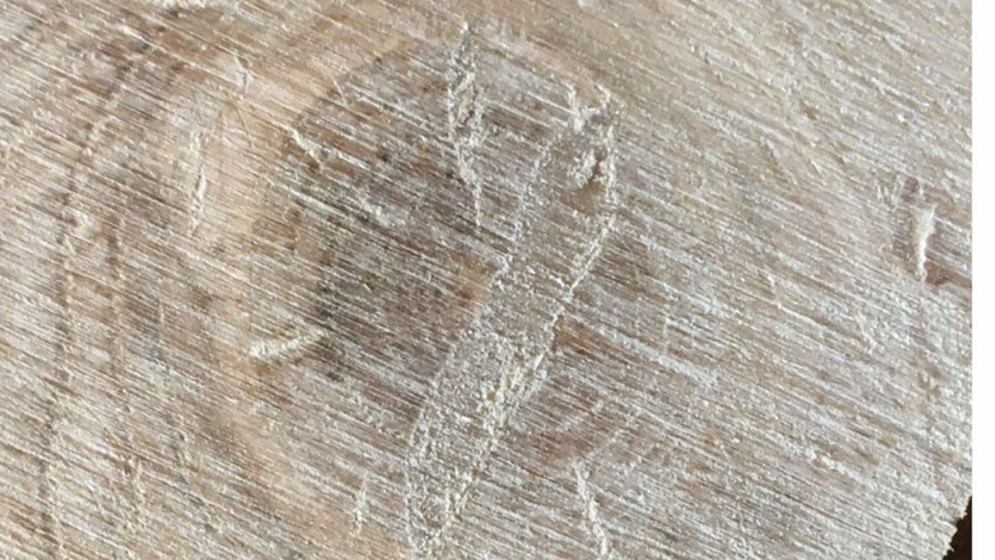 The same knot filled with color-matched filler, cut flush and sanded